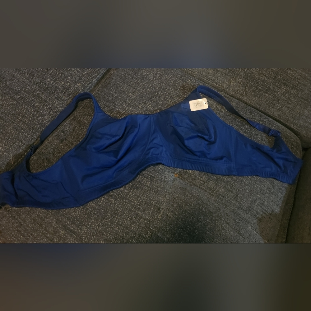 Ashley Stewart Royal Blue Bra